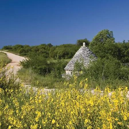 With A Fireplace 05 * Puntera