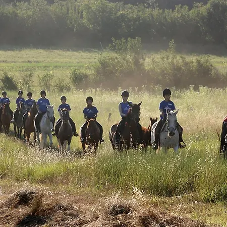 With A Fireplace 05 Puntera