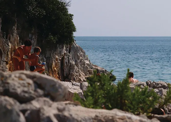 With A Fireplace 05 Semesterbostad Puntera