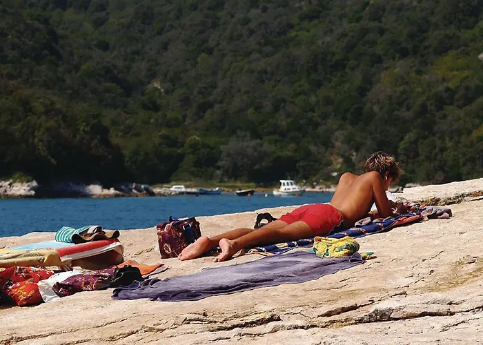 With A Fireplace 05 Semesterbostad