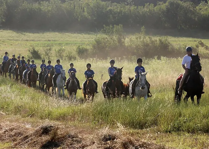 With A Fireplace 05 Puntera